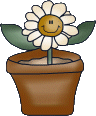 The Daisy Button Boutique